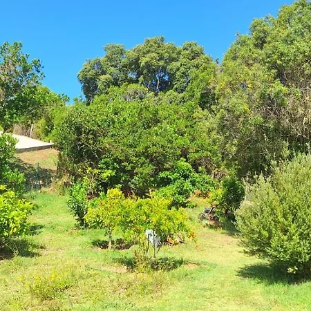 Casa Porticcio * Porticcio (Corsica)